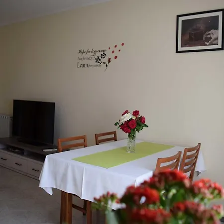 Marko Affittacamere Musalez